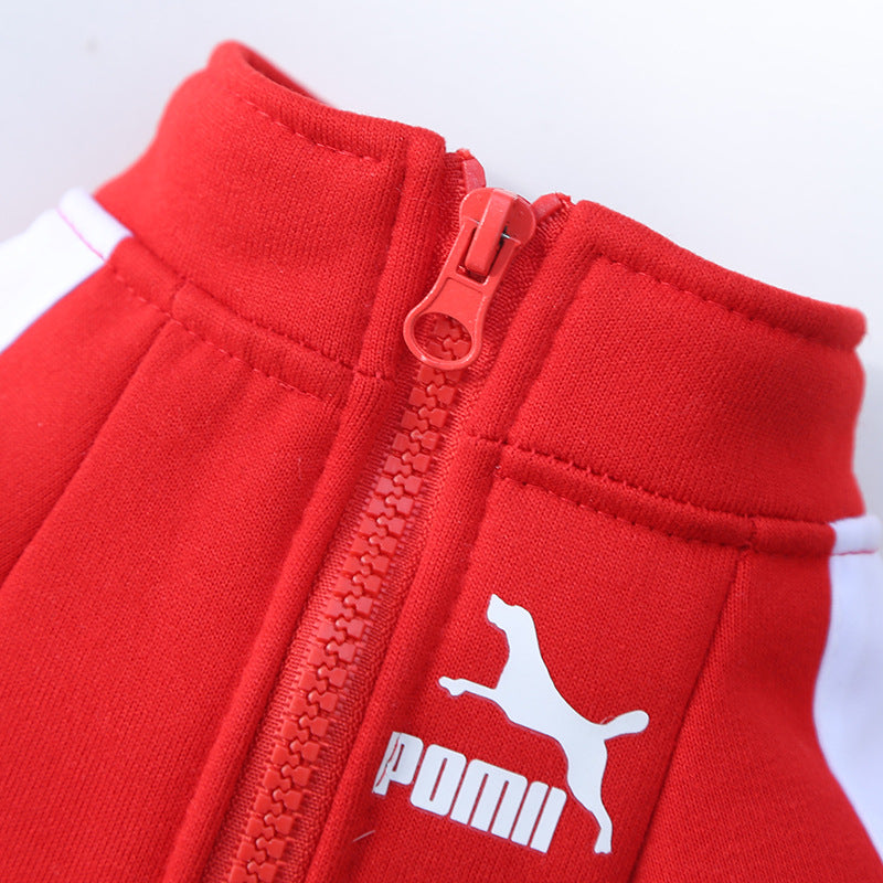 Winter Dog Sweatshirt
