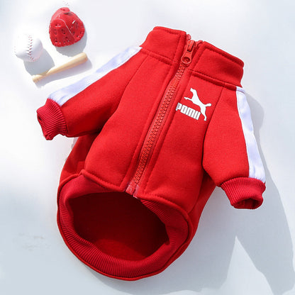 Winter Dog Sweatshirt