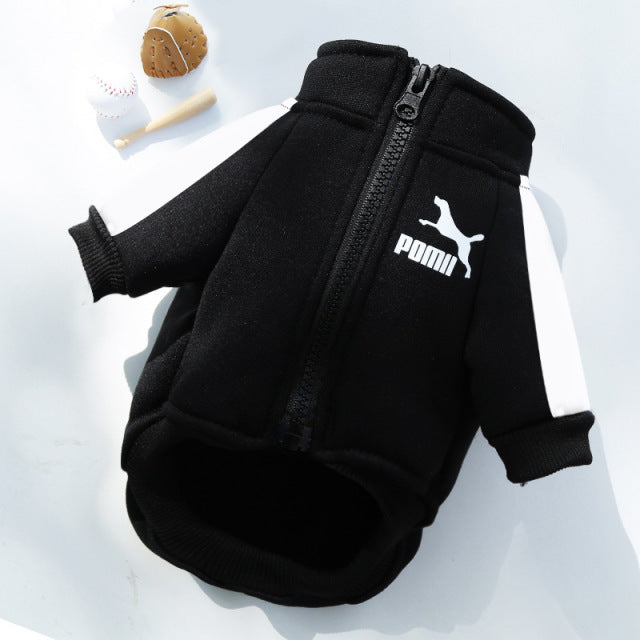 Winter Dog Sweatshirt