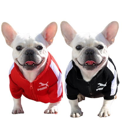 Winter Dog Sweatshirt